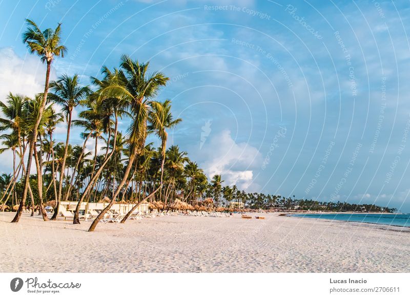 Bavaro Strände in Punta Cana, Dominikanische Republik Ferien & Urlaub & Reisen Tourismus Sommer Strand Meer Insel Umwelt Natur Sand Baum Blatt Küste Fernweh