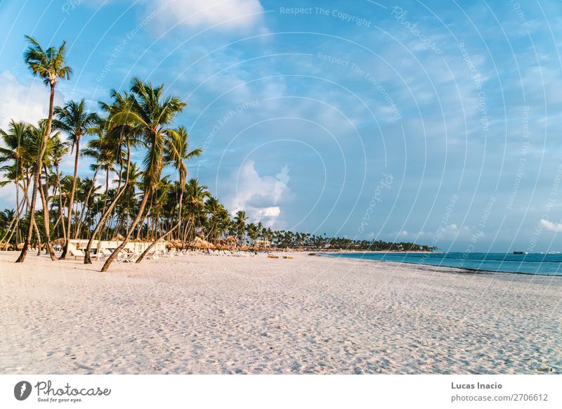 Bavaro Strände in Punta Cana, Dominikanische Republik Ferien & Urlaub & Reisen Tourismus Sommer Strand Meer Insel Umwelt Natur Sand Baum Blatt Küste Fernweh