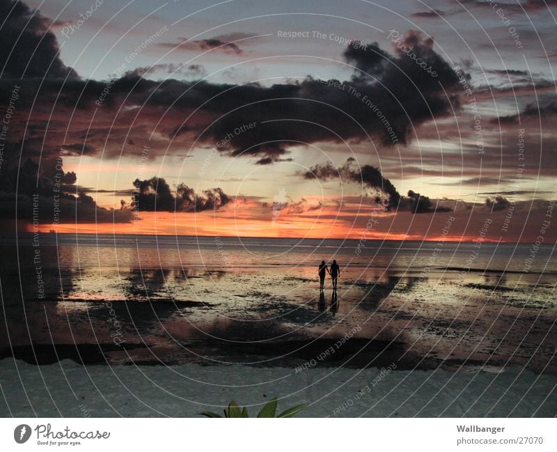 Sonnenuntergang auf Meeru Malediven Romantik Strand Ferien & Urlaub & Reisen Mensch Liebe Vergänglichkeit Zufriedenheit Insel Paar Couples Holiday paarweise