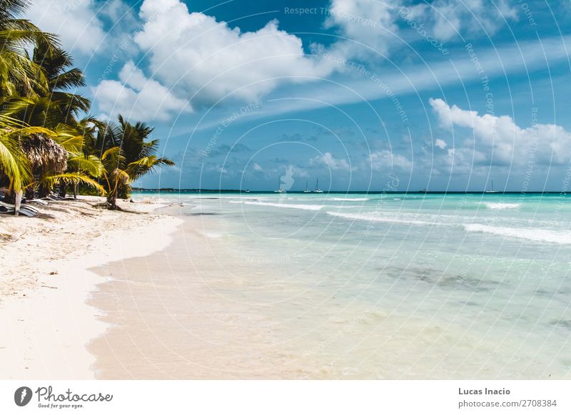 Saona Insel bei Punta Cana, Dominikanische Republik Ferien & Urlaub & Reisen Tourismus Sommer Strand Meer Umwelt Natur Sand Küste Fernweh amerika Amerikaner