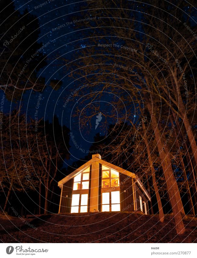Guten Abend, gute Nacht ... Ferien & Urlaub & Reisen Haus Umwelt Natur Landschaft Urelemente Nachthimmel Stern Baum Wald Einfamilienhaus Hütte leuchten dunkel
