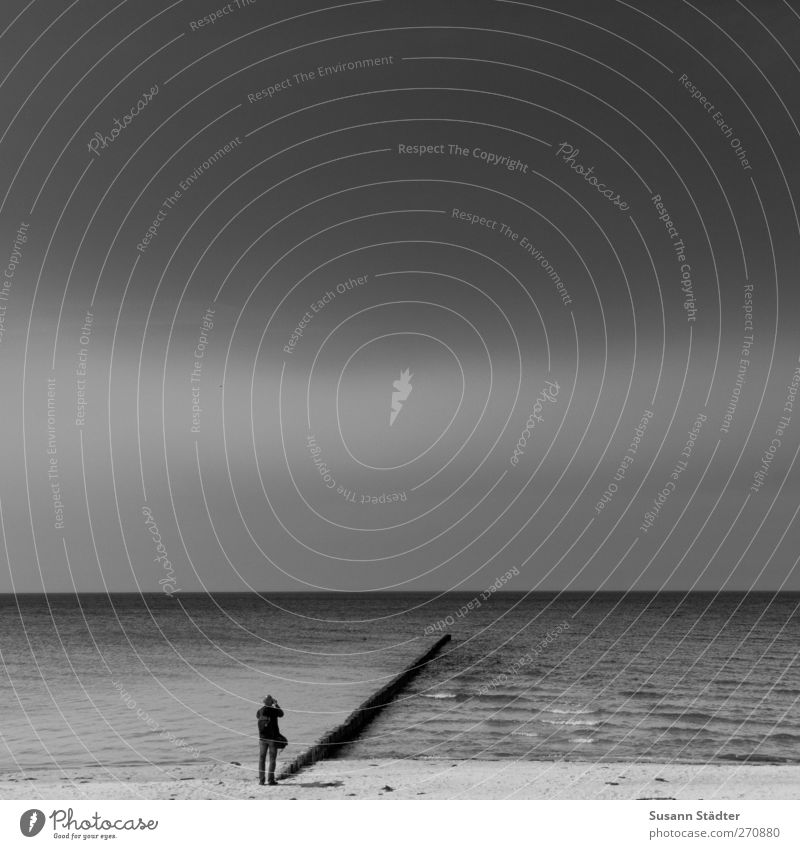 Hiddensee | l Körper 1 Mensch Wolkenloser Himmel Wellen Küste Ostsee Meer beobachten Holzpfahl Buhne Insel Einsamkeit einzeln Fotograf Strand ruhig Frieden