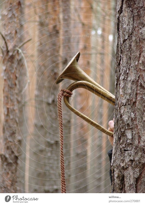 Wie man in den Wald hineinruft, so schallt es heraus Trompete Trompeter Blasinstrumente blasen Clairon Signalhorn Blechblasinstrumente Natur Baum Baumrinde Jagd