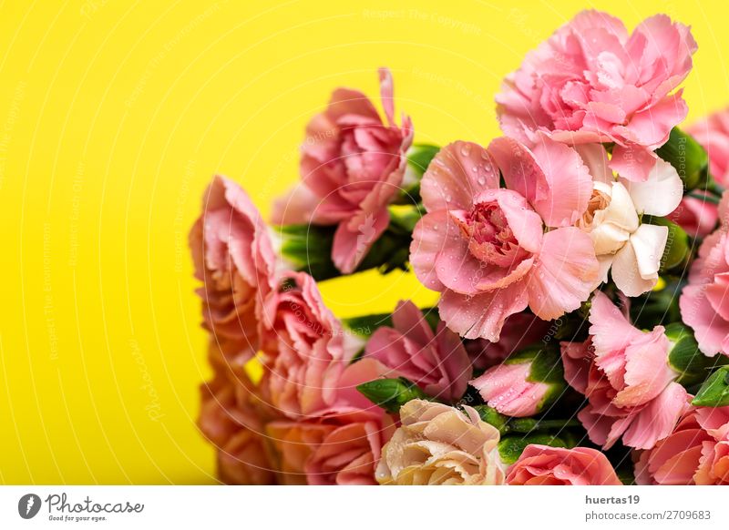 Blumenstrauß aus rosa Nelkenblüten elegant Stil Design Feste & Feiern Valentinstag Muttertag Hochzeit Geburtstag Natur Pflanze grün Liebe Romantik Farbe