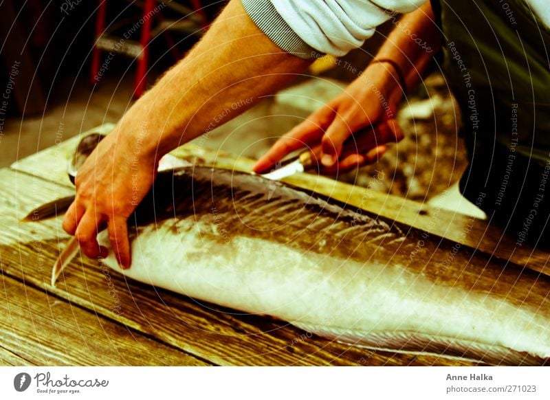 Lengfisch filetieren in Alt Arme Hand 1 Mensch Totes Tier Fisch fangen Fressen Meer Angeln Köder Schweinefilet Messer Schwimmhilfe kochen & garen Braten
