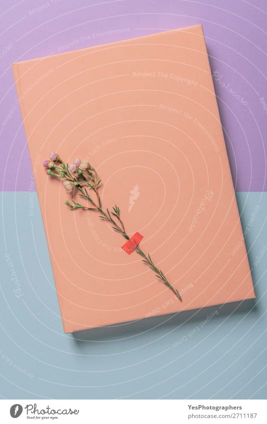 Rosa Notizbuch und eine einzelne Blume auf einem zweifarbigen Hintergrund. Lifestyle Schreibtisch Feste & Feiern Valentinstag Muttertag Hochzeit Büro Liebe