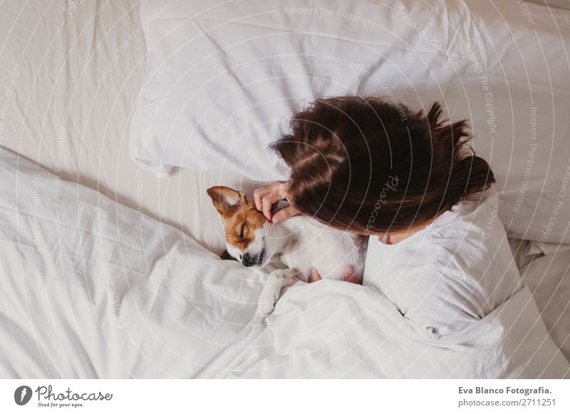 süßer kleiner Hund, der mit ihrem Menschen auf dem Bett liegt. Haustiere in Innenräumen. Entspannen elegant Freude Gesicht Erholung Büro Frau Erwachsene Tier