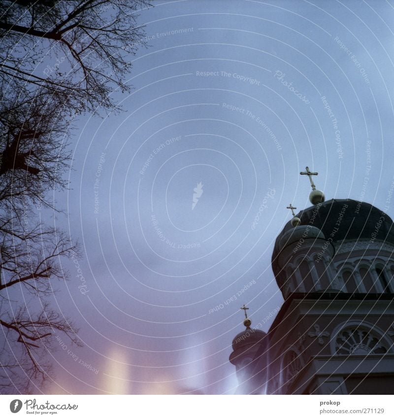 Russisch Orthodox Umwelt Natur Pflanze Baum Kirche Bauwerk Gebäude Architektur Dach Sehenswürdigkeit dunkel gruselig Kruzifix Kirchturm Religion & Glaube