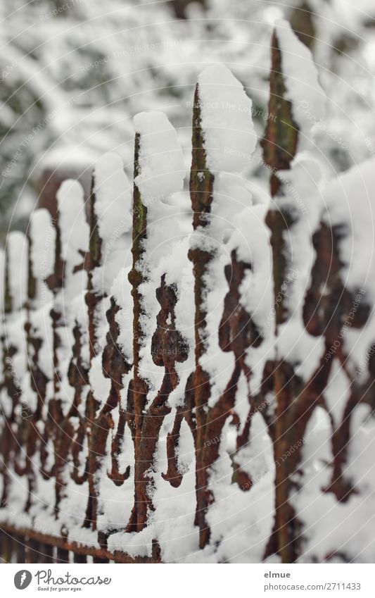 eingeschneiter Zaun Kunstwerk Winter Eis Frost Schnee Park Metall Rost Pfeil alt dunkel kalt Romantik Gelassenheit ruhig Einsamkeit ästhetisch bizarr Netzwerk