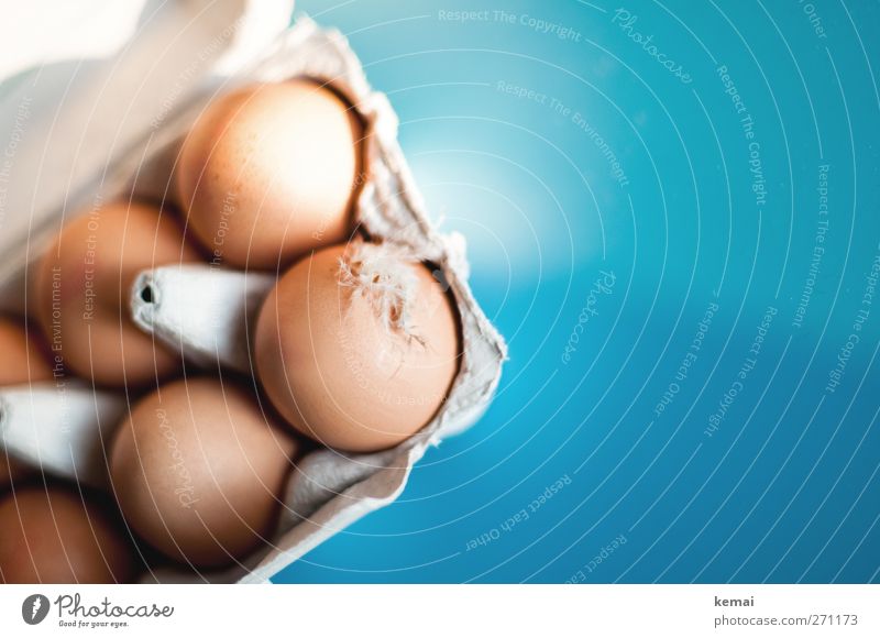 Karola's Lieferung Lebensmittel Ei Eierschale Ernährung Picknick Bioprodukte Vegetarische Ernährung Häusliches Leben Tisch Feder Hühnerfeder Daunen Eierkarton