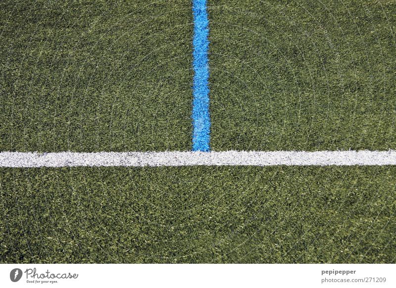 ich hier, du da! Freizeit & Hobby Spielen Ballsport Sportstätten Fußballplatz Gras Wiese Schilder & Markierungen Linie Streifen blau grün weiß Fu§ballfeld