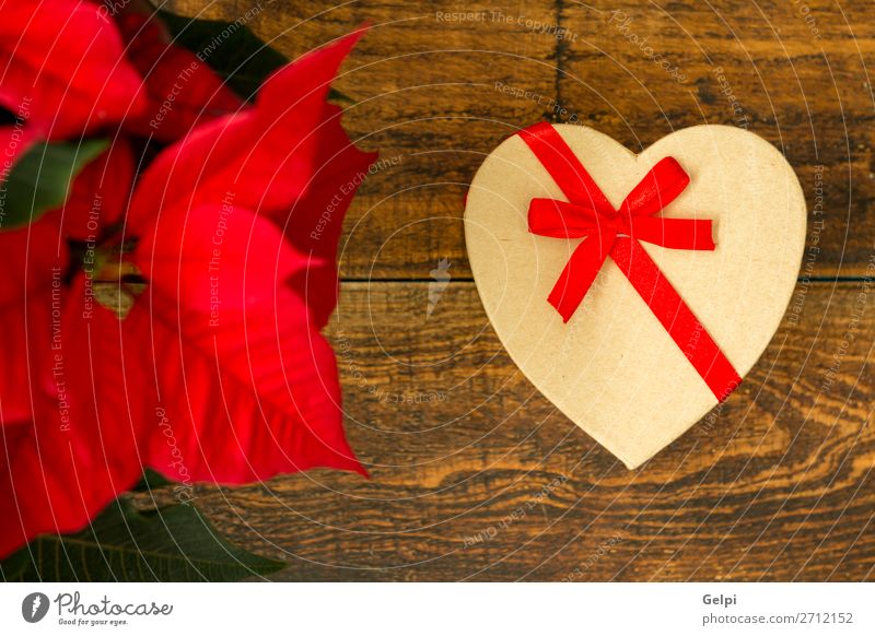 Präsentiert mit Herzform und saisonaler Pflanze mit roten Blättern. Design Glück Dekoration & Verzierung Tisch Feste & Feiern Weihnachten & Advent Hochzeit
