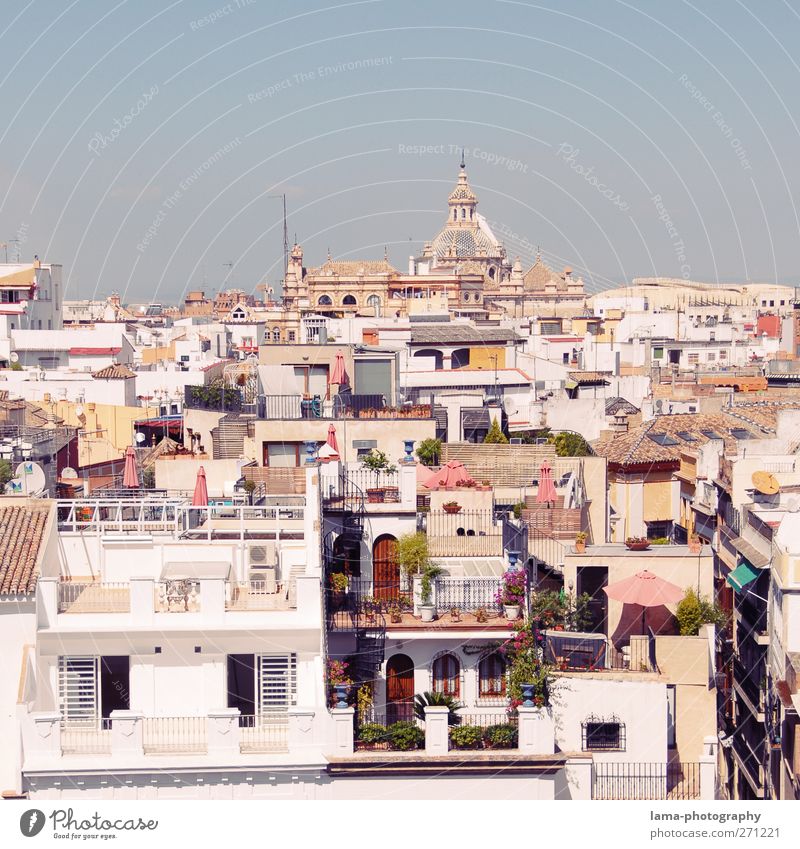 Sevilla [XLV] Andalusien Spanien Stadt Hauptstadt Stadtzentrum Altstadt überbevölkert Haus Gebäude Architektur Balkon Terrasse Dach weiß mediterran Farbfoto