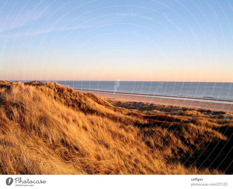 Blick auf´s Meer Strand Gras Stranddüne Himmel blau Wasser