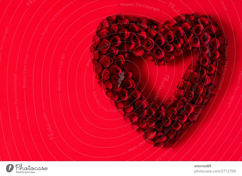 Herz aus roten Rosen auf rotem Hintergrund zum Valentinstag. Liebe Muttertag Blume Symbole & Metaphern Feste & Feiern Feiertag Februar Blumenstrauß