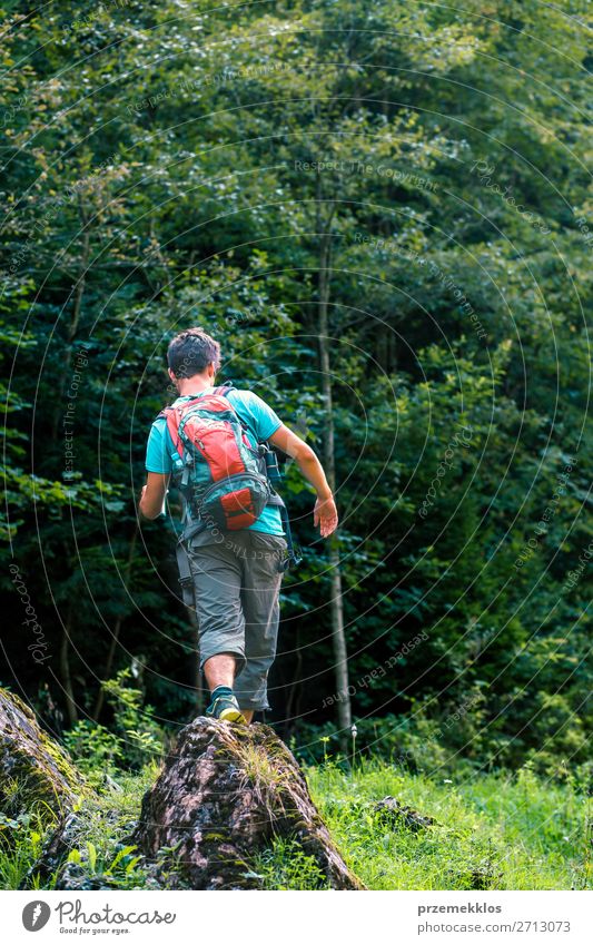 Junger Wanderer mit Rucksack, der über einen Felsen in Richtung Wald geht. Lifestyle Leben Freizeit & Hobby Tourismus Abenteuer Sommer wandern Mensch Mann