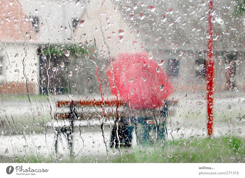 Bankwesen im Regen Regenwetter Regenschirm sitzen Mensch Wassertropfen Wetter schlechtes Wetter nass rot Fensterscheibe Glas Rinnsal Einsamkeit trist 1 Mensch