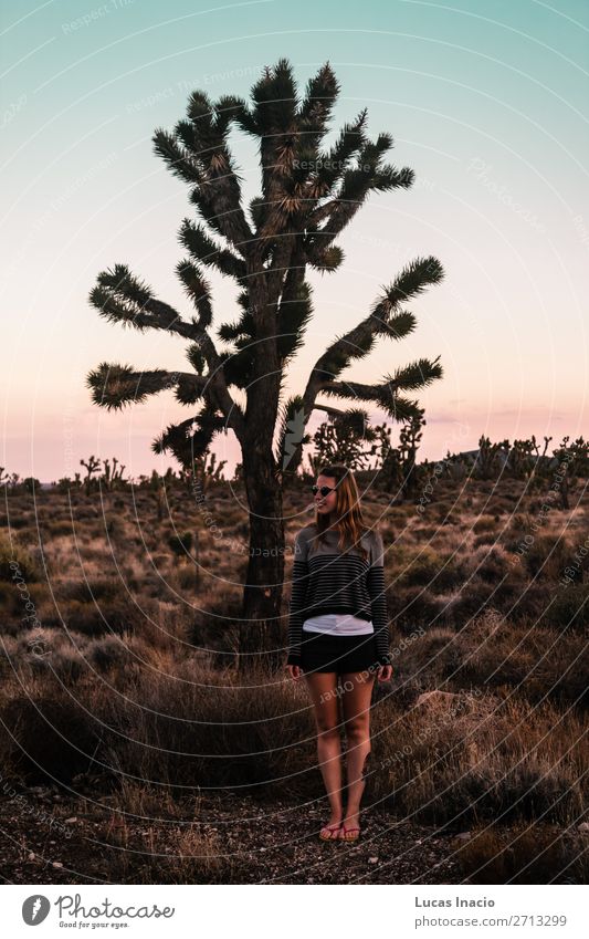 Mädchen in der Mojave-Wüste nahe der Route 66 in Kalifornien Ferien & Urlaub & Reisen Tourismus Sommer Berge u. Gebirge Mensch feminin Junge Frau Jugendliche