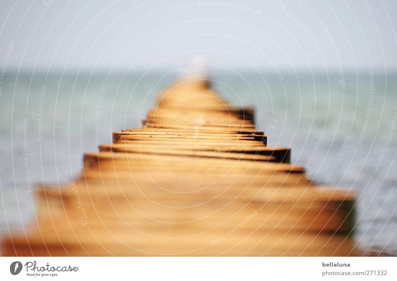Hiddensee | Dieser Weg... Frühling Sommer Schönes Wetter Wellen Küste Strand Ostsee Insel blau braun grau Holz Holzbrett Befestigung Horizont Wolkenloser Himmel