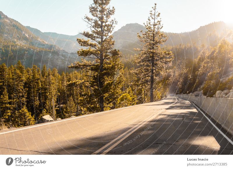 Straße in der Nähe von Emerald Bay und Lake Tahoe Ferien & Urlaub & Reisen Tourismus Sommer Berge u. Gebirge Garten Umwelt Natur Baum Gras Blatt Park Wald Hügel