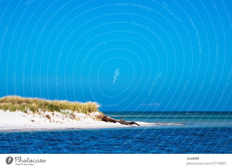 Ostseeküste auf dem Fischland-Darß Erholung Ferien & Urlaub & Reisen Tourismus Strand Meer Natur Landschaft Wolken Wetter Küste blau Idylle Umwelt Düne