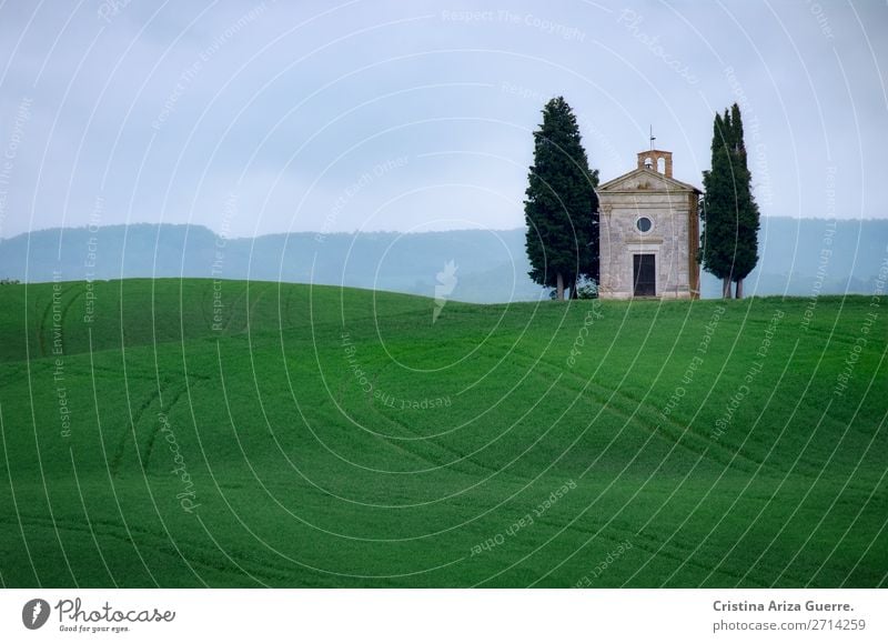 Capella della Madonna di Vitaleta, Toskana capella vitaleta Kapelle Italien grün Gras Zypresse Bereiche Wiese Natur Außenaufnahme Hügel