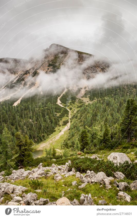 Berge mit Wolken im Gebirge in Südtirol V Bergspitze Bergsteigen weiß blau Freiheit Wolkenformation Berge u. Gebirge wandern Menschenleer Natur Alpen