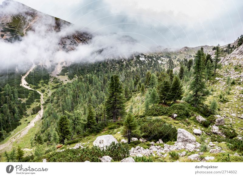 Berge mit Wolken und Weg im Gebirge in Südtirol VII Bergspitze Bergsteigen weiß blau Freiheit Wolkenformation Berge u. Gebirge wandern Menschenleer Natur Alpen