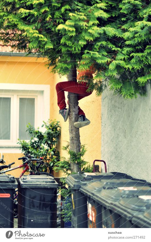 an den mülltonnen vorbei ... Kind Kindheit Beine Fuß 3-8 Jahre Gebäude Fassade Beton Freude Bewegung Baum Hinterhof Müllbehälter Fenster Klettern Mädchen