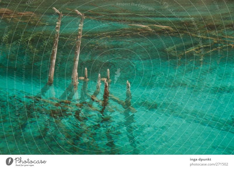 Alles klar! Umwelt Natur Landschaft Urelemente Wasser Klima Schönes Wetter Wellen Seeufer Klarheit deutlich außergewöhnlich fantastisch Sauberkeit blau türkis