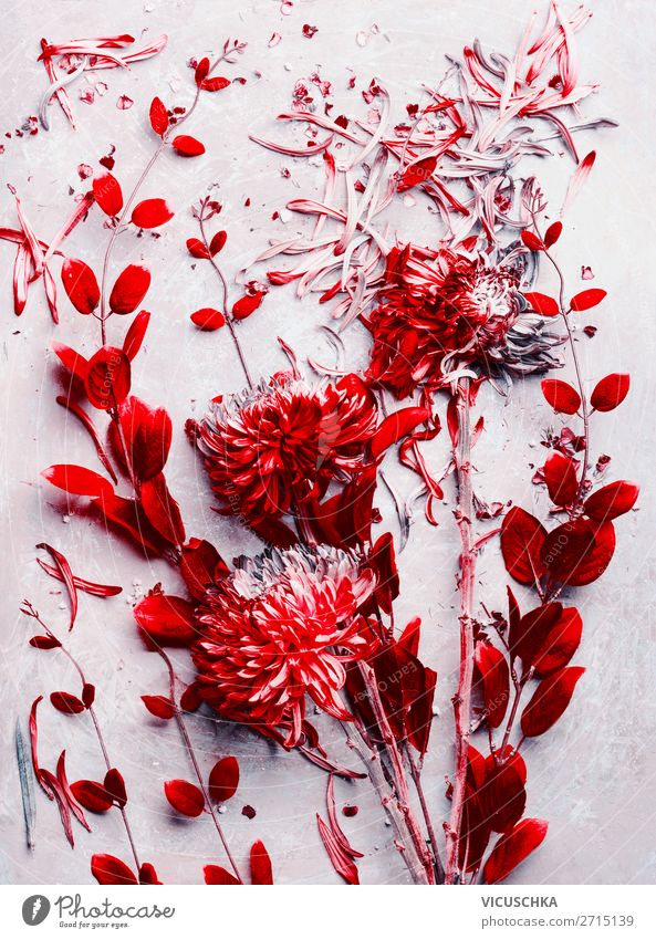 Rote Blumen und Blätter Composing Stil Design Dekoration & Verzierung Natur Pflanze Herbst Blatt Blüte Blumenstrauß rosa rot Farbfoto Studioaufnahme