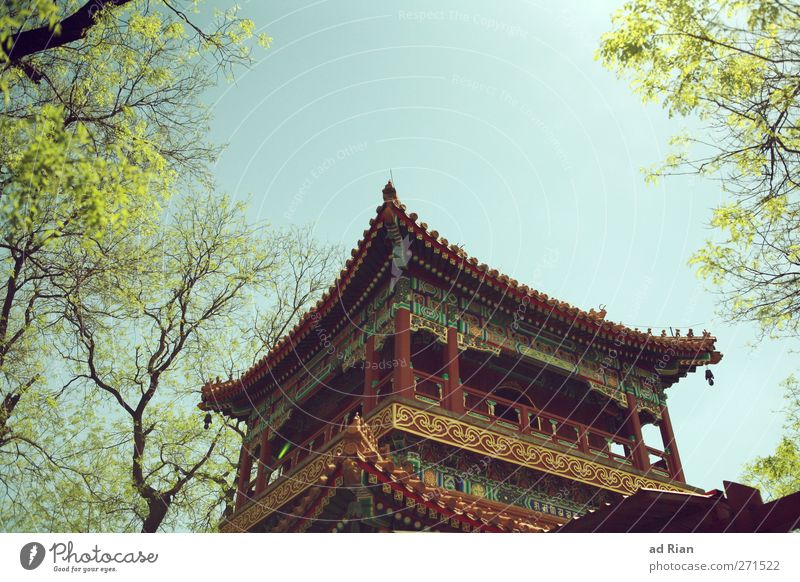 Lamatempel Frühling Pflanze Baum Park Wiese Peking China Menschenleer Palast Burg oder Schloss Tempel Pagode Pagodendach Tempelturm Lama Tempel alt authentisch