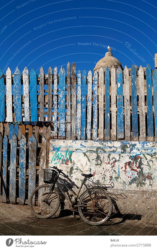 Altes Fahrrad, im Hafen von Essaouira in Marokko, Afrika. Ferien & Urlaub & Reisen Tourismus Ausflug Abenteuer Ferne Freiheit Sommer stehen Armut chaotisch