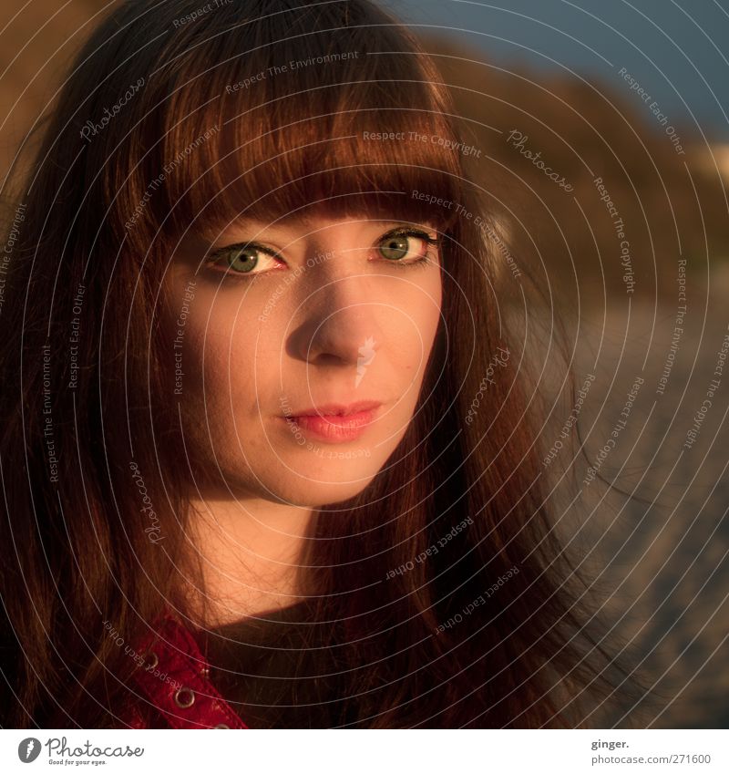 Hiddensee | Cinnamon Girl Mensch feminin Junge Frau Jugendliche Erwachsene Leben Kopf Haare & Frisuren Gesicht 1 18-30 Jahre Blick schön strahlend Ausstrahlung