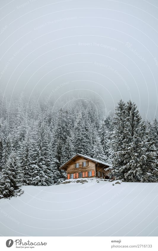 Arnisee XII Umwelt Natur Landschaft Winter Nebel Schnee Baum Wald Hügel Berge u. Gebirge Haus außergewöhnlich kalt weiß Ferienhaus Schweiz Tourismus