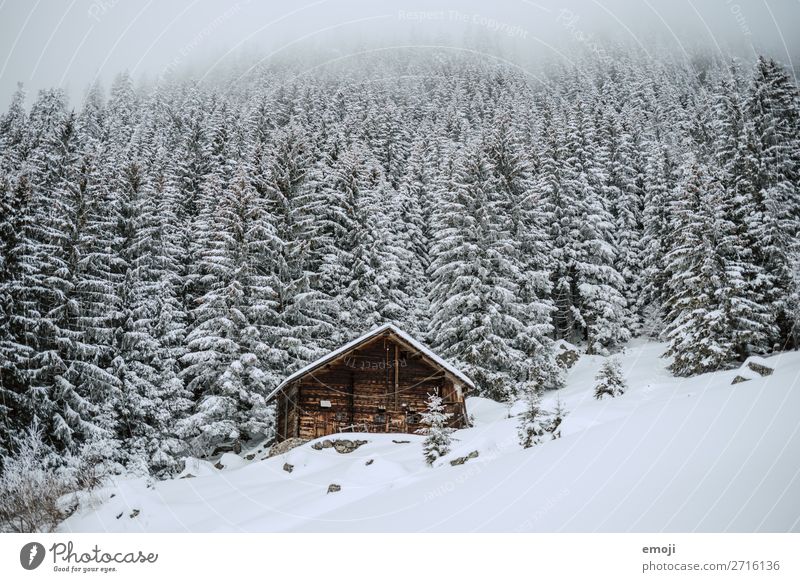 Arnisee XVIII Umwelt Natur Landschaft Winter schlechtes Wetter Schnee Baum Nebel Berge u. Gebirge See außergewöhnlich natürlich weiß Tourismus ruhig Schweiz