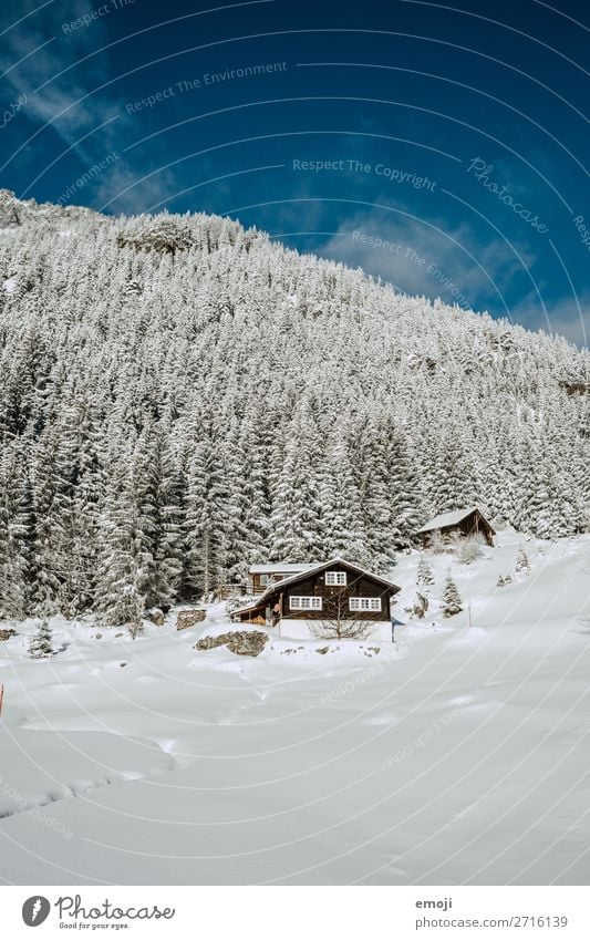 Arnisee XV Umwelt Natur Landschaft Winter Schönes Wetter Schnee Baum Berge u. Gebirge See außergewöhnlich natürlich blau weiß Tourismus ruhig Schweiz Ausflug