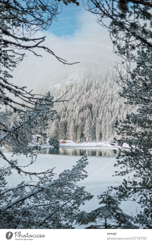 Arnisee VI Umwelt Natur Landschaft Winter Schönes Wetter Schnee Baum Berge u. Gebirge See außergewöhnlich natürlich blau weiß Tourismus ruhig Gebirgssee Schweiz
