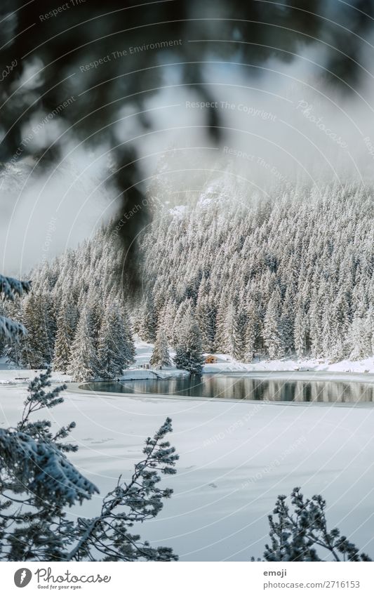 Arnisee VIII Umwelt Natur Landschaft Winter Schönes Wetter Schnee Baum Berge u. Gebirge See außergewöhnlich natürlich blau weiß Tourismus ruhig Gebirgssee