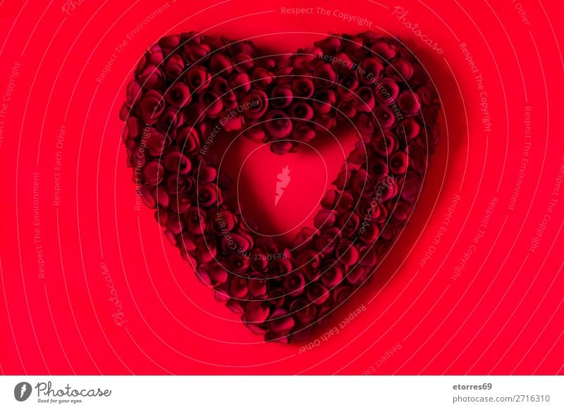 Herz aus roten Rosen auf rotem Hintergrund zum Valentinstag. Liebe Muttertag Blume Symbole & Metaphern Feste & Feiern Ferien & Urlaub & Reisen Feiertag Februar