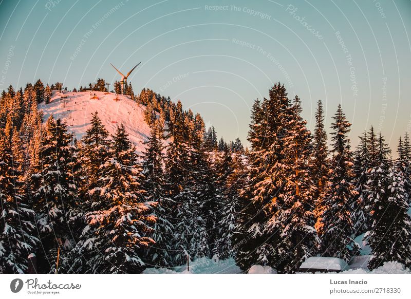 Grouse Mountain in North Vancouver, BC, Kanada Ferien & Urlaub & Reisen Tourismus Ausflug Abenteuer Freiheit Expedition Winter Schnee Winterurlaub