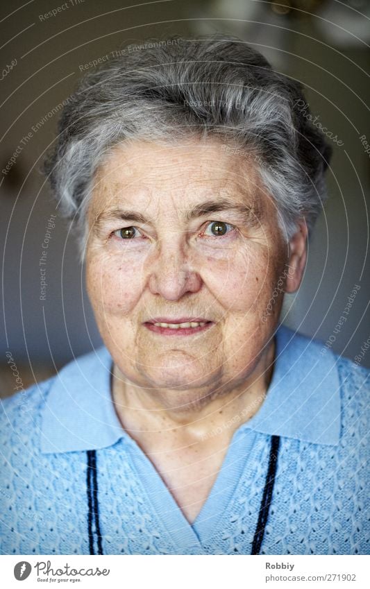 Großmütterchen I Frau Erwachsene Weiblicher Senior Großmutter Kopf 1 Mensch 60 und älter Lächeln Blick alt authentisch Freundlichkeit blau grau einzigartig