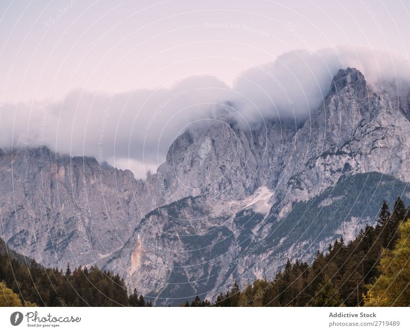 Malerische Aussicht auf die felsigen Berge Berge u. Gebirge nadelhaltig Nebel Landschaft Felsen Umwelt atmosphärisch Dunst natürlich Wald