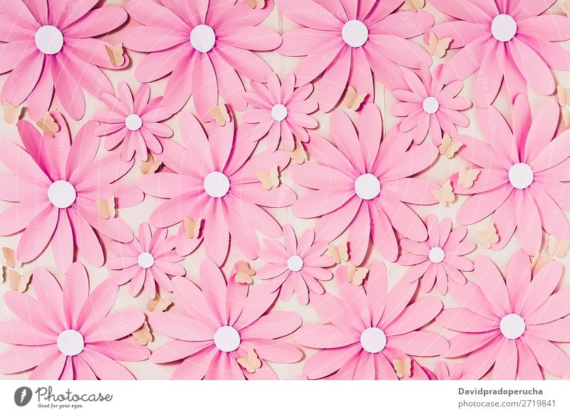 Blumen Hintergrund Fotowand abstrakt Gänseblümchen Blütenblatt selbstgemacht Dekor Papier Tapete Hintergrundbild Handwerke Strukturen & Formen Ornament