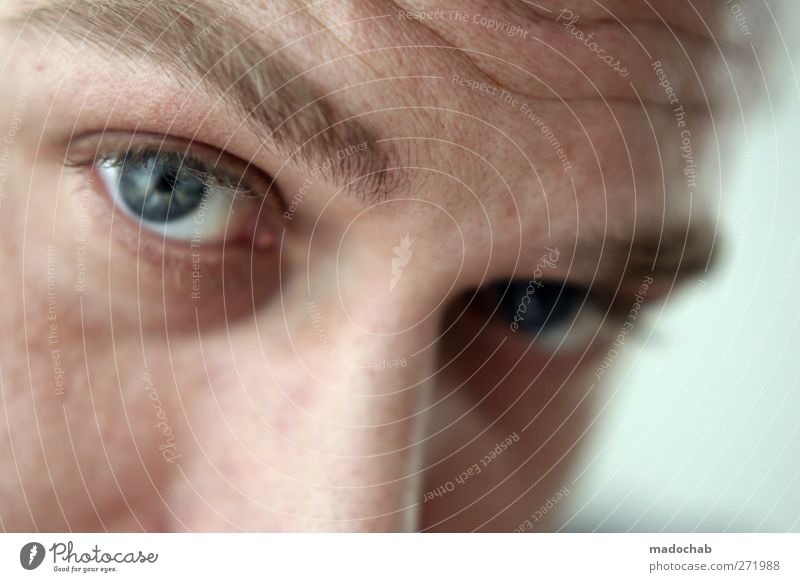 Portrait junger Mann Blickkontakt Mensch maskulin Erwachsene Kopf Gesicht Auge beobachten Vertrauen Neugier Farbfoto Innenaufnahme Schwache Tiefenschärfe