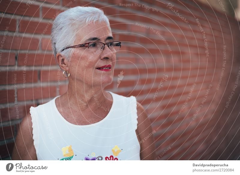 Ältere Frau schaut weg graue Haare alt Porträt Beautyfotografie in den Ruhestand getreten Mensch Senior Erholung niedlich attraktiv horizontal hübsch