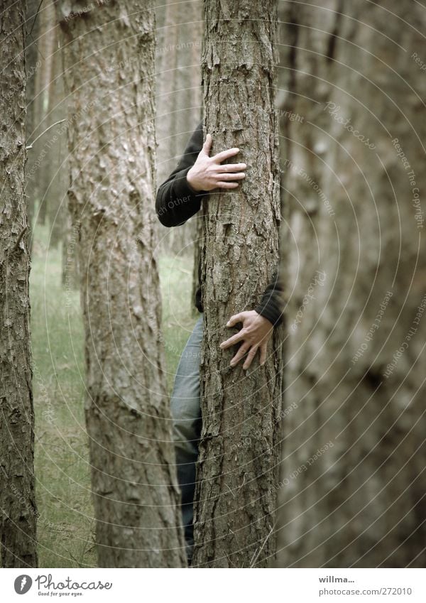 Der mit dem Baum tanzt Umarmen Baumstamm Wald Hand Natur gruselig Kraft Einsamkeit nachhaltig Umweltschutz Zusammenhalt festhalten berühren verstecken Baumrinde