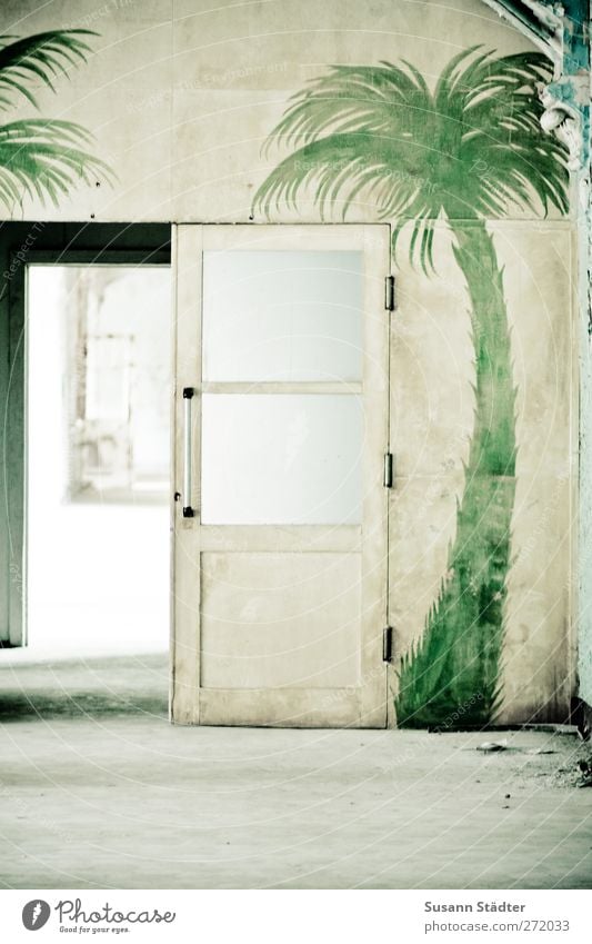 AST5 | la palma Sand Grünpflanze exotisch Wüste Oase Tor Gebäude Architektur Mauer Wand Häusliches Leben Tür Palme bemalt Dekoration & Verzierung Farbe