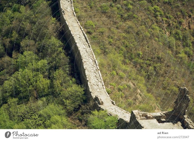 Grosse Mauer (kleiner Ausschnitt) Natur Landschaft Frühling Schönes Wetter Baum Gras Sträucher Wald Hügel China Ruine Tor Bauwerk Architektur Wand Treppe