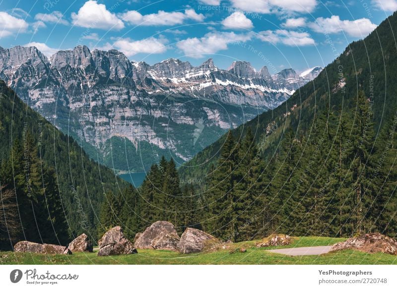 Berggipfel mit grünem Wald und Felsen in den Schweizer Alpen ruhig Sommer Berge u. Gebirge Natur Landschaft Schönes Wetter Gipfel Idylle Gasse alpin